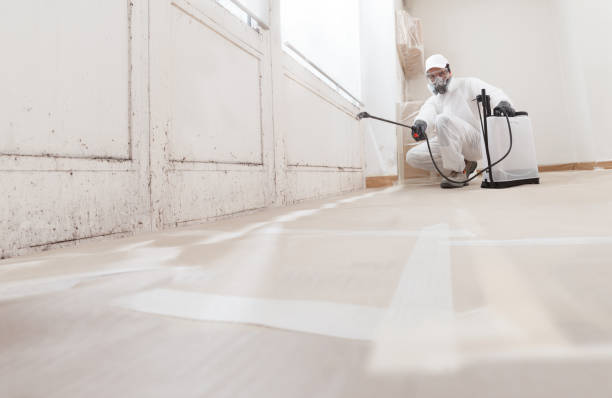 24/7 Emergency Mold Removal experts in Oak Ridge, FL